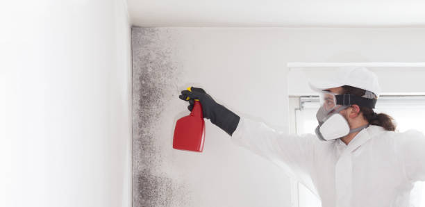 Best Bathroom Mold Remediation in White Meadow Lake, NJ